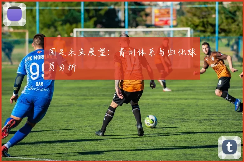 国足未来展望:青训体系与归化球员分析