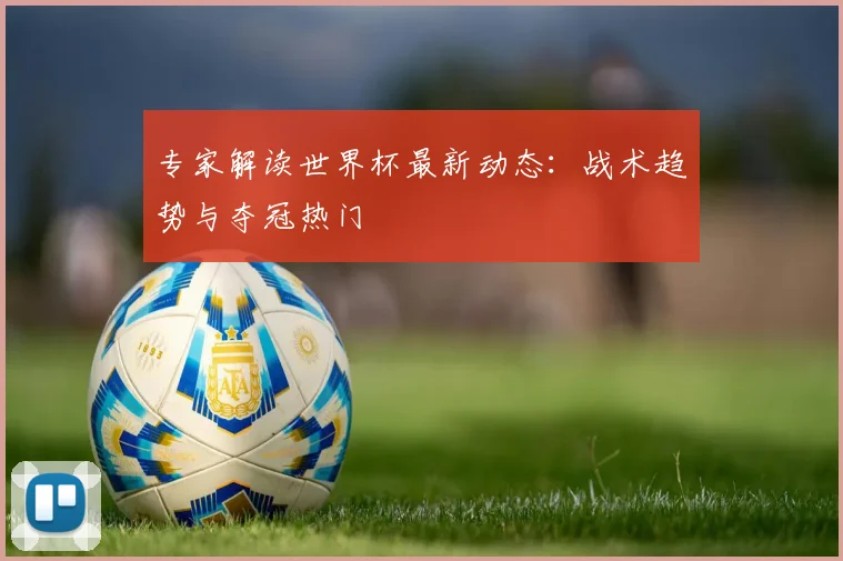 专家解读世界杯最新动态：战术趋势与夺冠热门